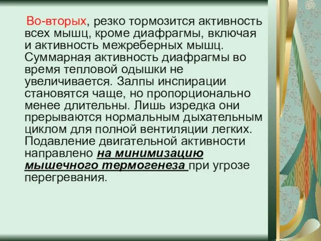 Во-вторых, резко тормозится активность всех мышц, кроме диафрагмы, включая и активность