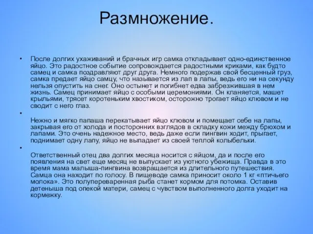 Размножение. После долгих ухаживаний и брачных игр самка откладывает одно-единственное яйцо.