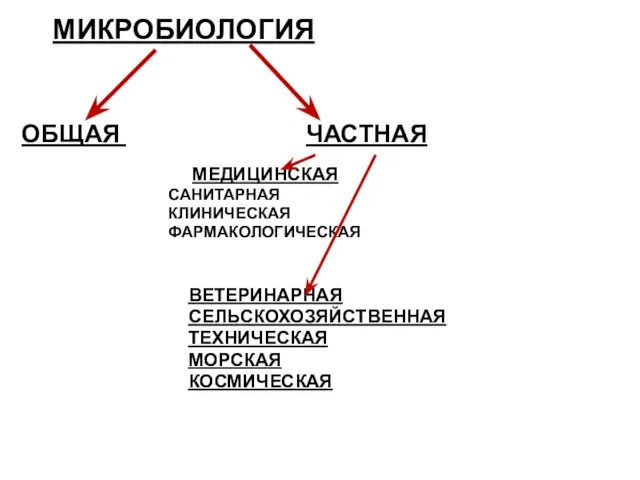 МИКРОБИОЛОГИЯ ОБЩАЯ ЧАСТНАЯ МЕДИЦИНСКАЯ САНИТАРНАЯ КЛИНИЧЕСКАЯ ФАРМАКОЛОГИЧЕСКАЯ ВЕТЕРИНАРНАЯ СЕЛЬСКОХОЗЯЙСТВЕННАЯ ТЕХНИЧЕСКАЯ МОРСКАЯ КОСМИЧЕСКАЯ