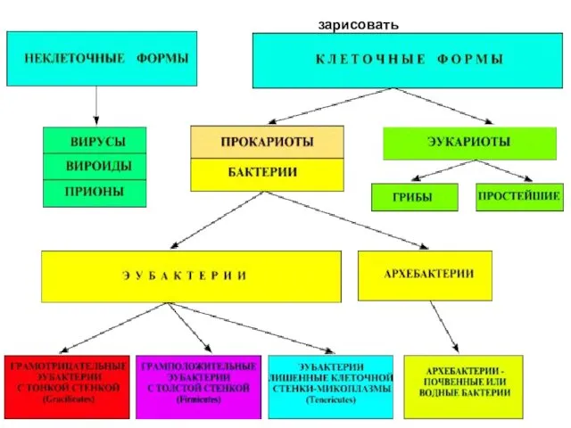 зарисовать