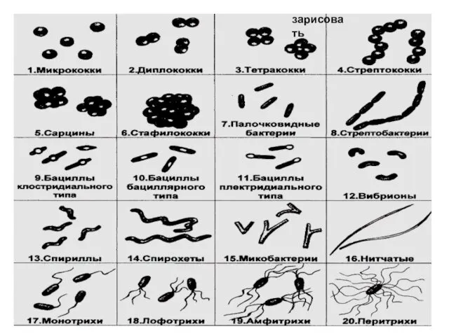 зарисовать