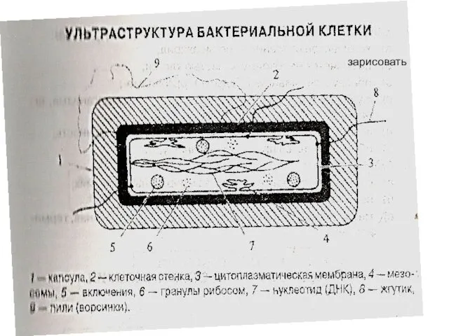 зарисовать