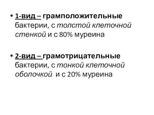 1-вид – грамположительные бактерии, с толстой клеточной стенкой и с 80%