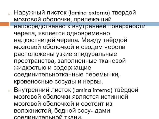 Наружный листок (lamina externa) твердой мозговой оболочки, прилежащий непосредственно к внутренней