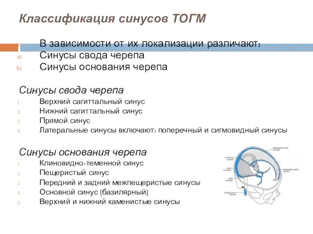 Классификация синусов ТОГМ В зависимости от их локализации различают: Синусы свода