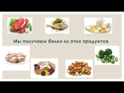 Мы получаем белки из этих продуктов