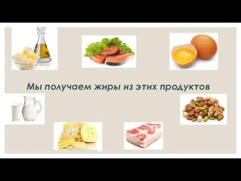 Мы получаем жиры из этих продуктов