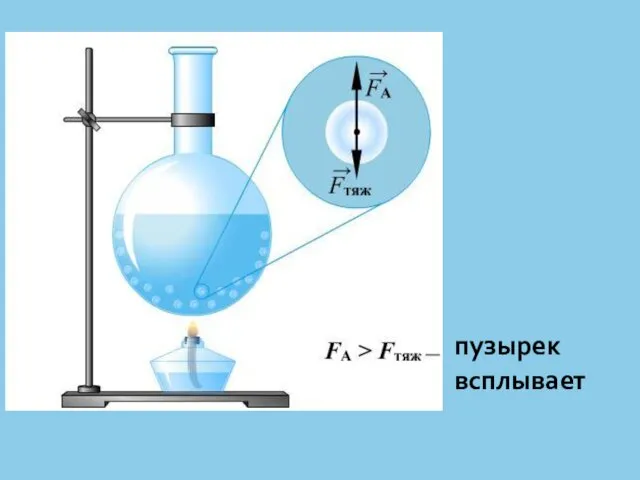 пузырек всплывает