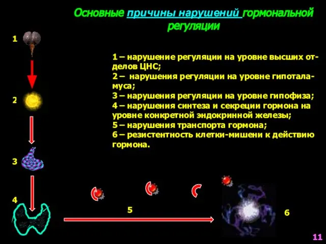 Основные причины нарушений гормональной регуляции 4 5 1 – нарушение регуляции