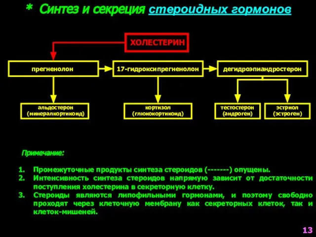 * Синтез и секреция стероидных гормонов ХОЛЕСТЕРИН прегненолон 17-гидроксипрегненолон дегидроэпиандростерон альдостерон