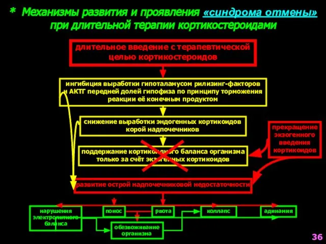 * Механизмы развития и проявления «синдрома отмены» при длительной терапии кортикостероидами