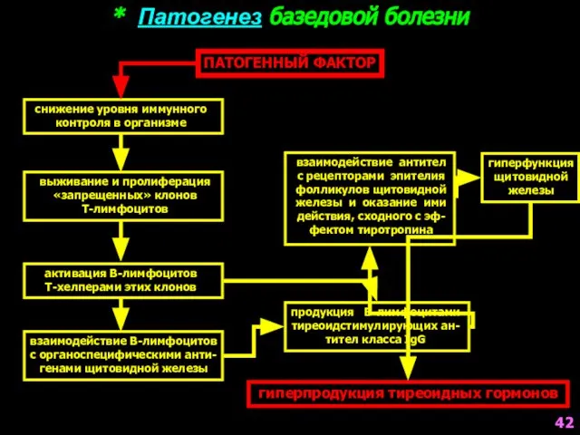 * Патогенез базедовой болезни ПАТОГЕННЫЙ ФАКТОР снижение уровня иммунного контроля в