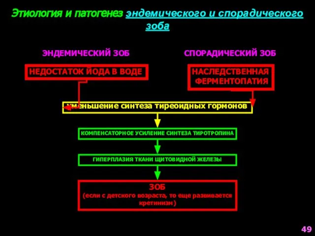 Этиология и патогенез эндемического и спорадического зоба ЭНДЕМИЧЕСКИЙ ЗОБ СПОРАДИЧЕСКИЙ ЗОБ