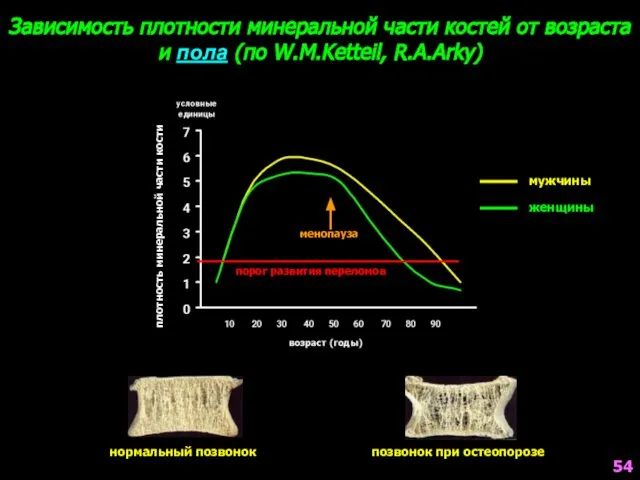 плотность минеральной части кости мужчины женщины Зависимость плотности минеральной части костей