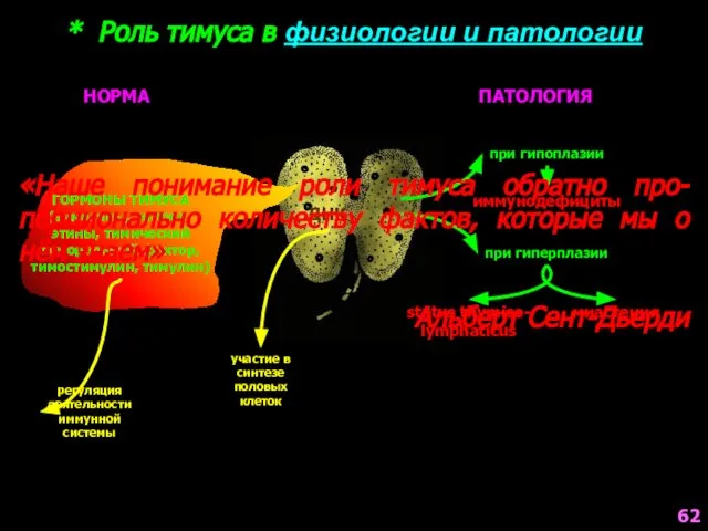 * Роль тимуса в физиологии и патологии НОРМА ПАТОЛОГИЯ ГОРМОНЫ ТИМУСА