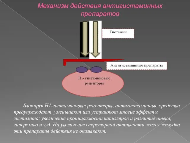 Механизм действия антигистаминных препаратов Блокируя Н1-гистаминовые рецепторы, антигистаминные средства предупреждают, уменьшают