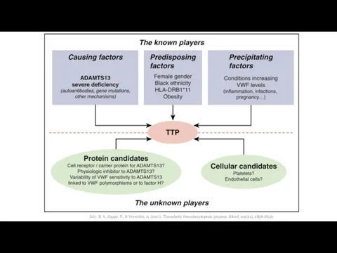 Joly, B. S., Coppo, P., & Veyradier, A. (2017). Thrombotic thrombocytopenic purpura. Blood, 129(21), 2836-2846.