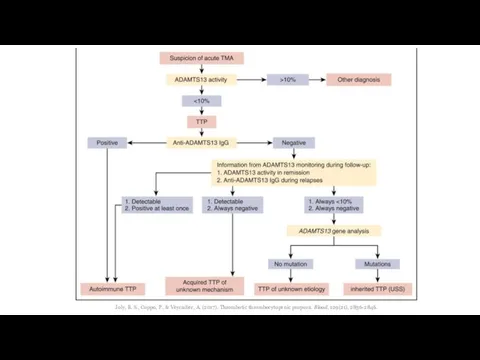 Joly, B. S., Coppo, P., & Veyradier, A. (2017). Thrombotic thrombocytopenic purpura. Blood, 129(21), 2836-2846.