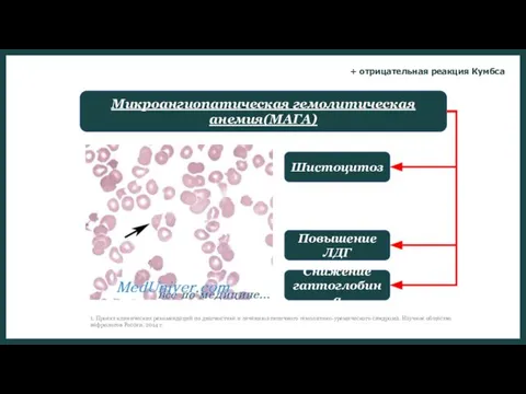 Микроангиопатическая гемолитическая анемия(МАГА) Шистоцитоз Повышение ЛДГ Снижение гаптоглобина 1. Проект клинических