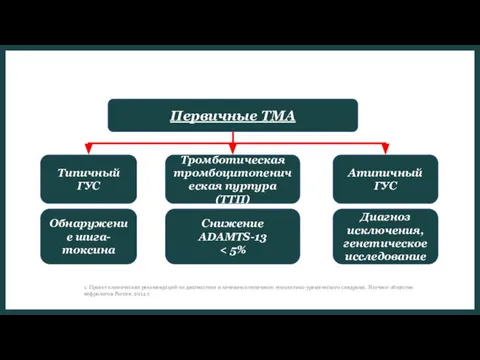 Первичные ТМА Типичный ГУС Тромботическая тромбоцитопеническая пурпура (ТТП) Атипичный ГУС Обнаружение