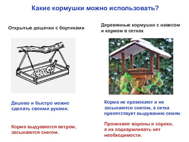 Какие кормушки можно использовать? Проникают вороны и сороки, а их подкармливать