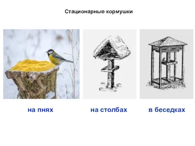 Стационарные кормушки на пнях на столбах в беседках