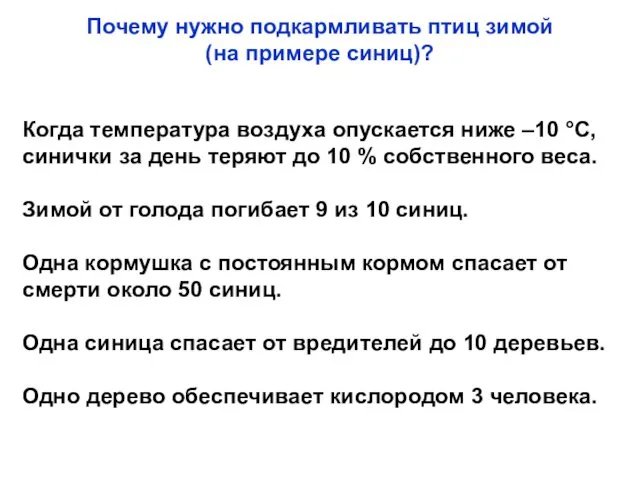 Когда температура воздуха опускается ниже –10 °С, синички за день теряют