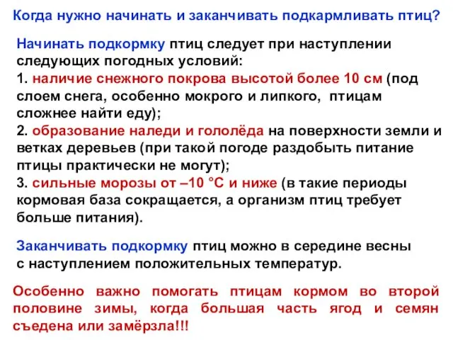 Когда нужно начинать и заканчивать подкармливать птиц? Начинать подкормку птиц следует