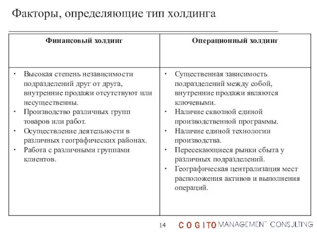 Факторы, определяющие тип холдинга