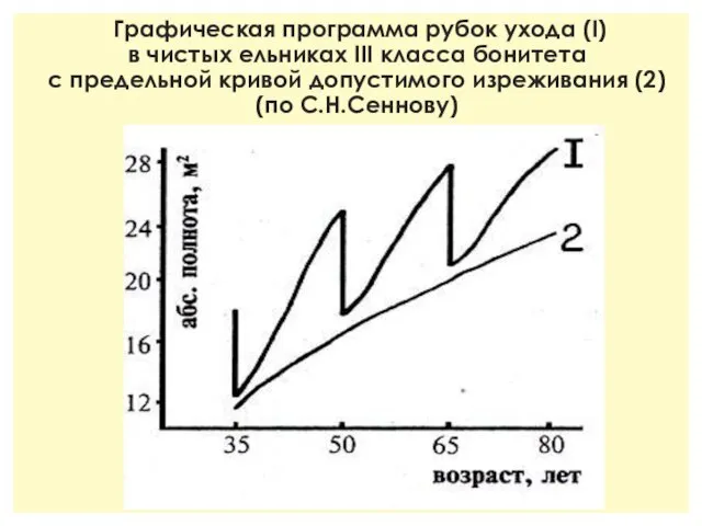 Графическая программа рубок ухода (I) в чистых ельниках III класса бонитета