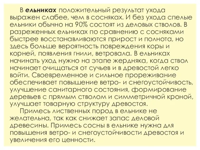 В ельниках положительный результат ухода выражен слабее, чем в сосняках. И