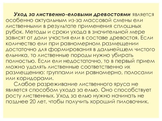 Уход за лиственно-еловыми древостоями является особенно актуальным из-за массовой смены ели