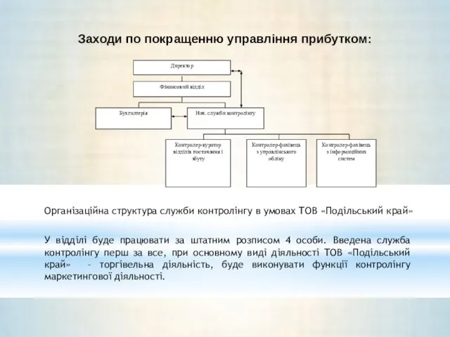 Заходи по покращенню управління прибутком: Організаційна структура служби контролінгу в умовах