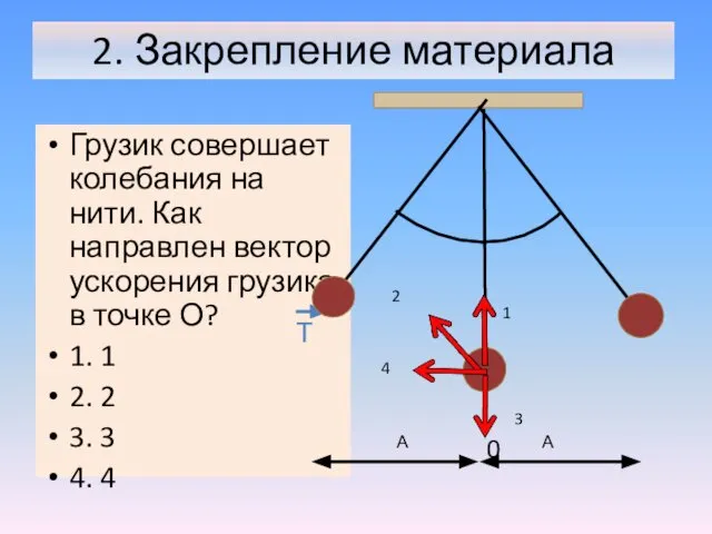 Грузик совершает колебания на нити. Как направлен вектор ускорения грузика в