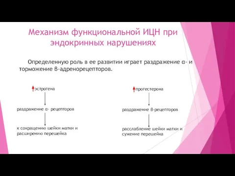 Определенную роль в ее развитии играет раздражение α- и торможение β-адренорецепторов.