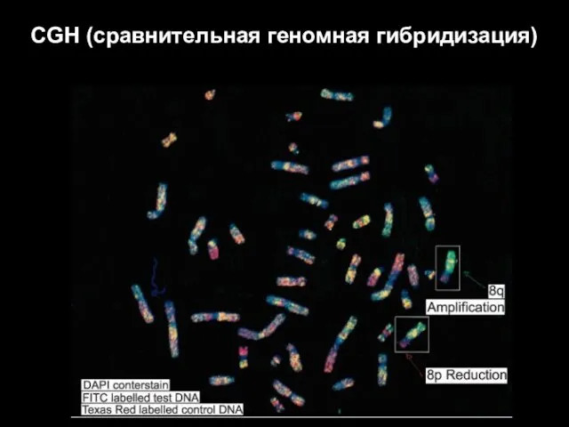 CGH (сравнительная геномная гибридизация)