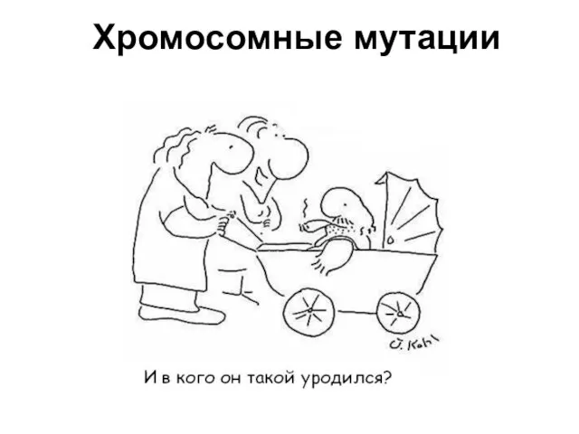 Хромосомные мутации