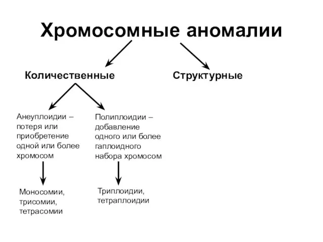 Хромосомные аномалии Количественные Структурные Анеуплоидии – потеря или приобретение одной или