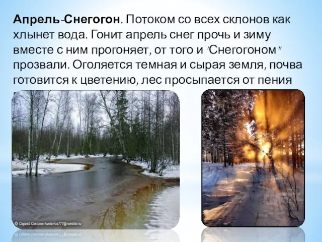 Апрель-Снегогон. Потоком со всех склонов как хлынет вода. Гонит апрель снег