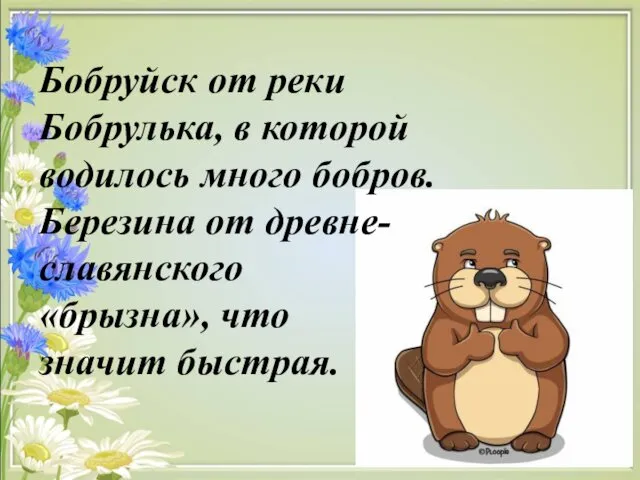 Бобруйск от реки Бобрулька, в которой водилось много бобров. Березина от