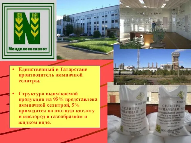 Единственный в Татарстане производитель аммиачной селитры. Структура выпускаемой продукции на 95%