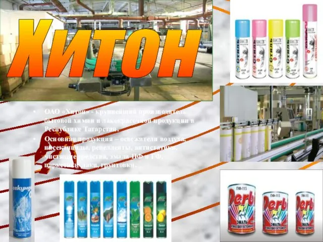 ОАО «Хитон» - крупнейший производитель бытовой химии и лакокрасочной продукции в