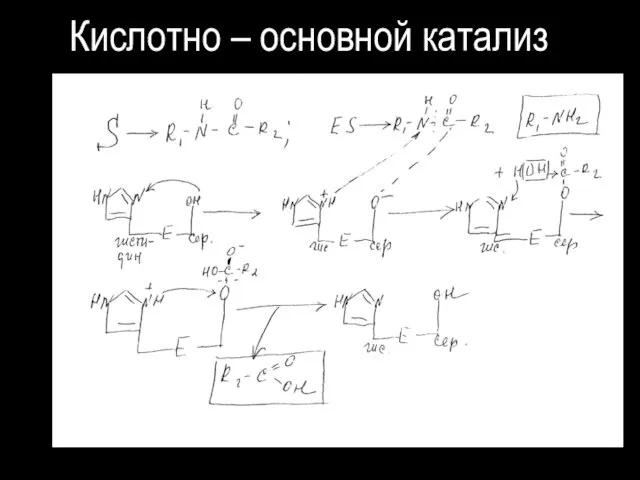 Кислотно – основной катализ