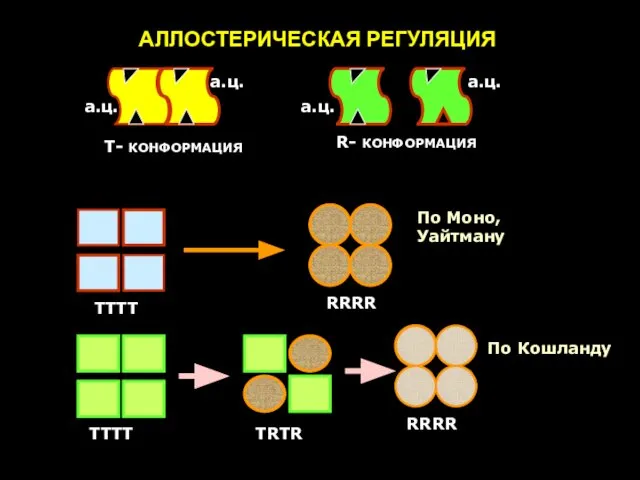 ТТТТ ТТТТ RRRR RRRR ТRТR По Моно, Уайтману По Кошланду АЛЛОСТЕРИЧЕСКАЯ РЕГУЛЯЦИЯ