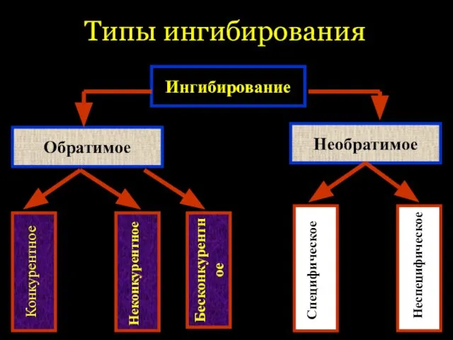 Ингибирование Обратимое Необратимое Конкурентное Неконкурентное Специфическое Неспецифическое Типы ингибирования Бесконкурентное