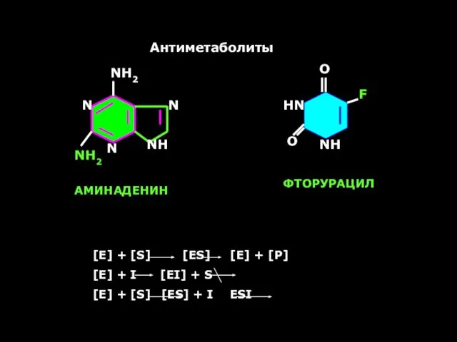 Антиметаболиты NH N NH2 N F NH2 N O NH HN