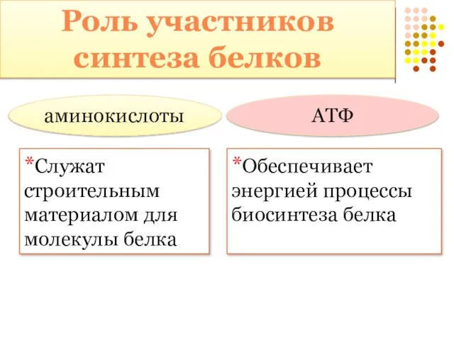 аминокислоты *Служат строительным материалом для молекулы белка АТФ *Обеспечивает энергией процессы