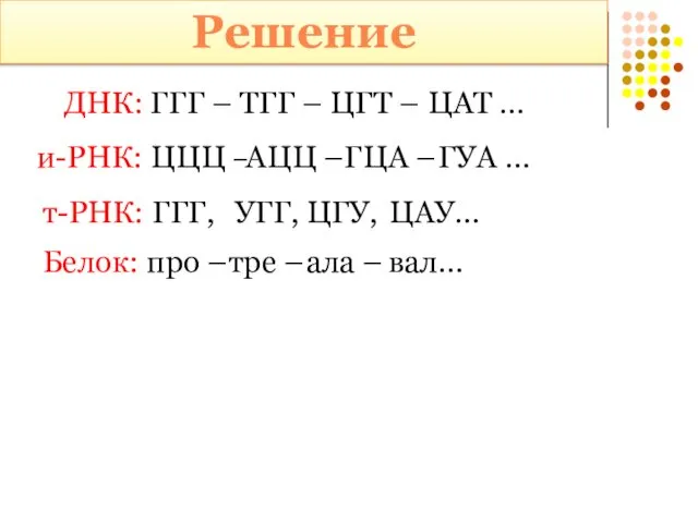 ДНК: ГГГ – ТГГ – ЦГТ – ЦАТ … и-РНК: ЦЦЦ