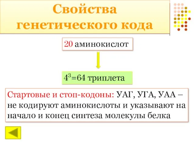 Свойства генетического кода 20 аминокислот 43=64 триплета Стартовые и стоп-кодоны: УАГ,