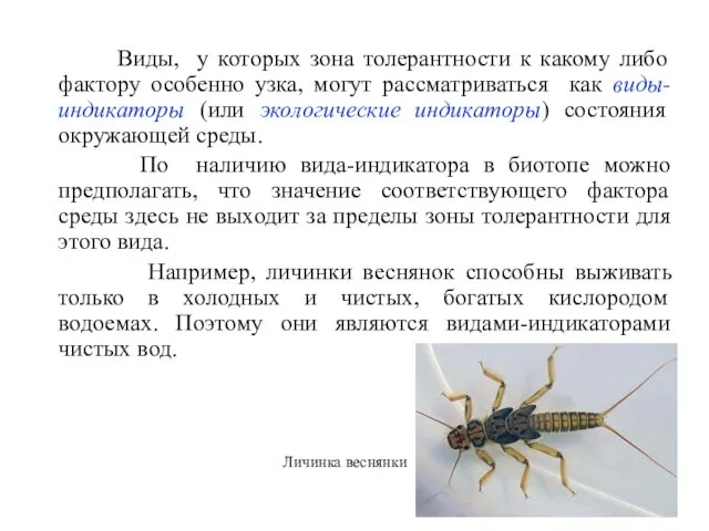 Виды, у которых зона толерантности к какому либо фактору особенно узка,